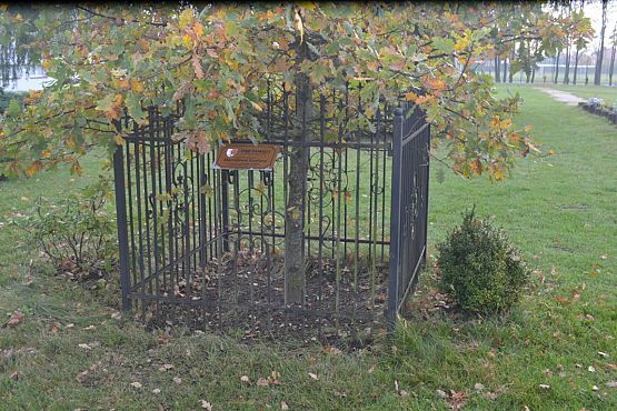 Grafika #70: Szkoła pamięta