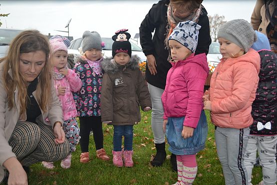 Grafika #72: Szkoła pamięta