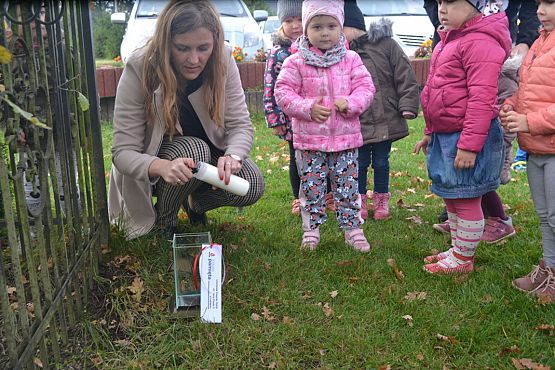 Grafika #73: Szkoła pamięta