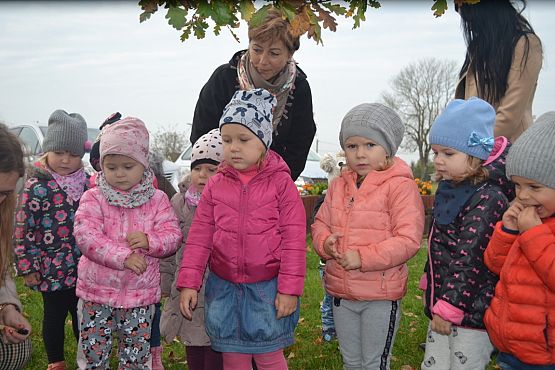 Grafika #74: Szkoła pamięta