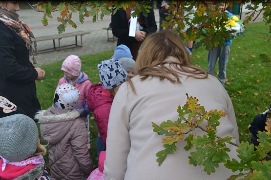 Grafika #75: Szkoła pamięta