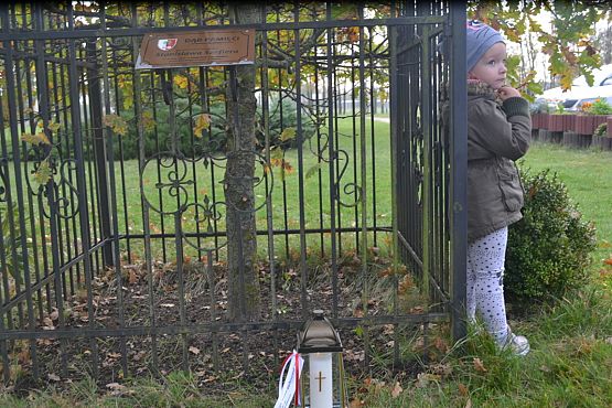 Grafika #77: Szkoła pamięta