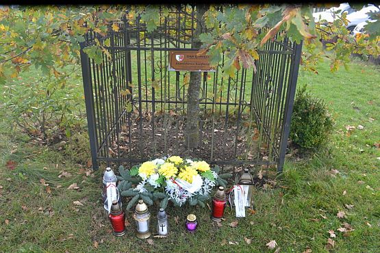 Grafika #94: Szkoła pamięta