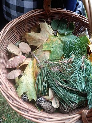 Grafika #8: Spacer przedszkolaków w Parku Chrobrego.