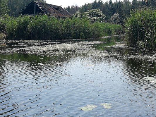 Grafika #19: Wycieczka do Elbląga.