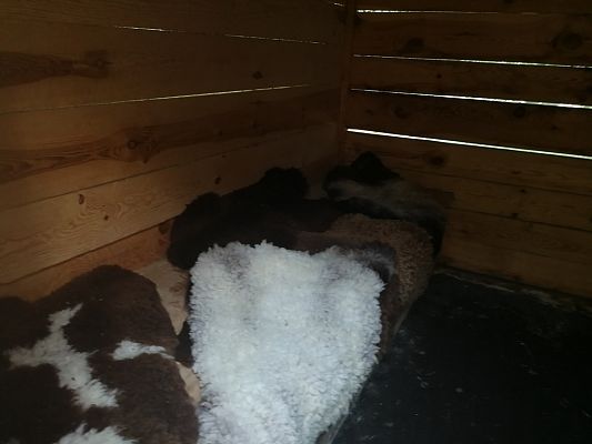 Grafika #30: Wycieczka do Elbląga.