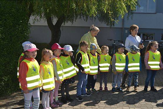 Grafika #11: "Wiosna z Mrówką"