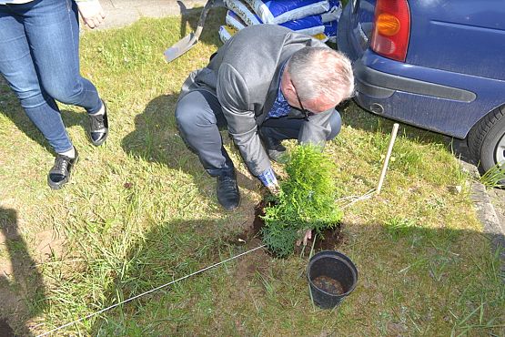 Grafika #29: "Wiosna z Mrówką"