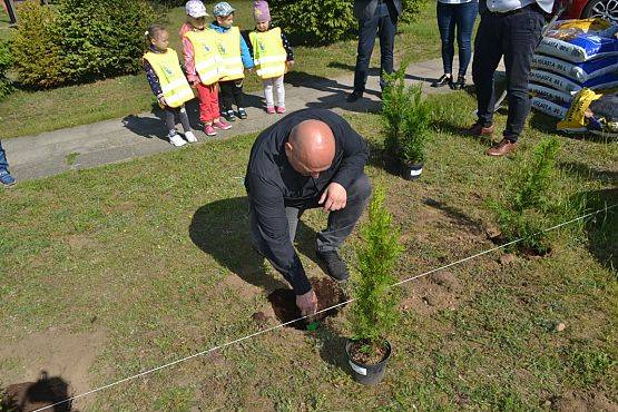 Grafika #31: "Wiosna z Mrówką"