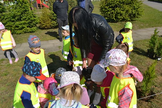 Grafika #33: "Wiosna z Mrówką"