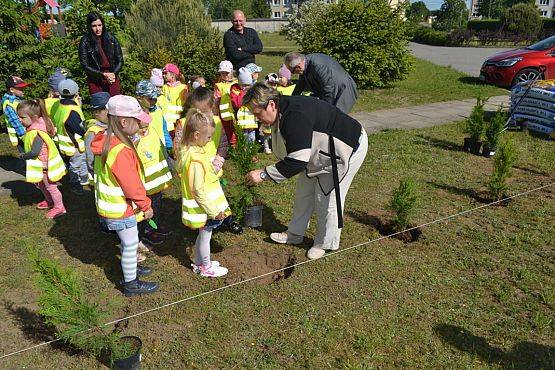 Grafika #34: "Wiosna z Mrówką"