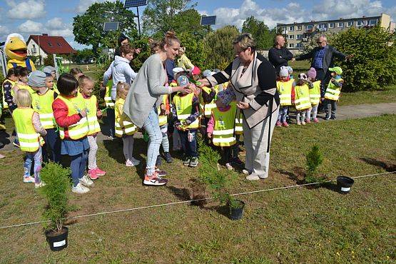 Grafika #35: "Wiosna z Mrówką"