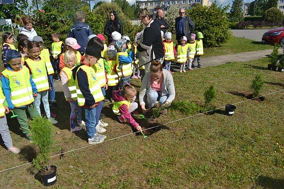 Grafika #36: "Wiosna z Mrówką"