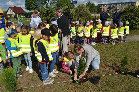 Grafika #37: "Wiosna z Mrówką"
