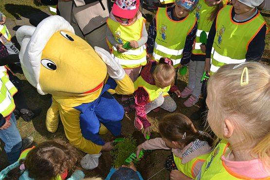 Grafika #42: "Wiosna z Mrówką"