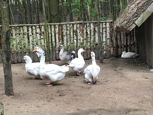 Grafika #3: Wycieczka do Doliny Charlotty