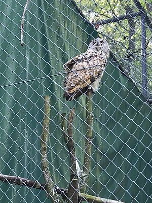 Grafika #4: Wycieczka do Doliny Charlotty