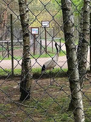 Grafika #5: Wycieczka do Doliny Charlotty