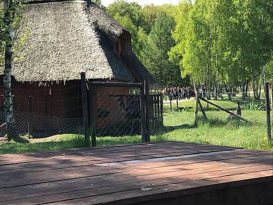 Grafika #7: Wycieczka do Doliny Charlotty