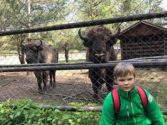 Grafika #10: Wycieczka do Doliny Charlotty