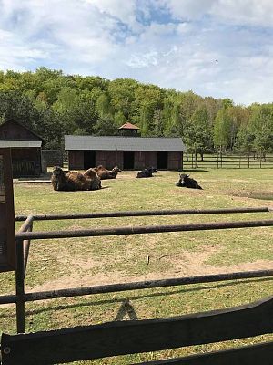 Grafika #13: Wycieczka do Doliny Charlotty