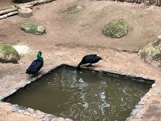 Grafika #15: Wycieczka do Doliny Charlotty