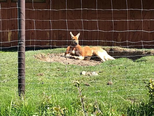 Grafika #16: Wycieczka do Doliny Charlotty