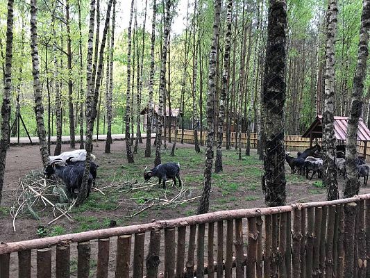 Grafika #19: Wycieczka do Doliny Charlotty