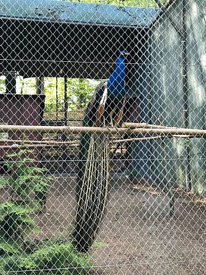 Grafika #21: Wycieczka do Doliny Charlotty