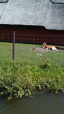 Grafika #39: Wycieczka do Doliny Charlotty