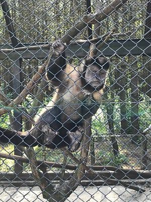 Grafika #27: Wycieczka do Doliny Charlotty