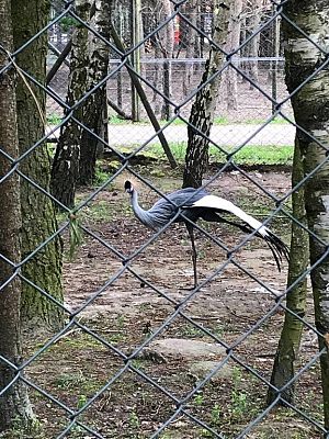 Grafika #29: Wycieczka do Doliny Charlotty