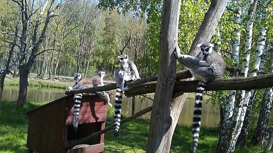 Grafika #30: Wycieczka do Doliny Charlotty