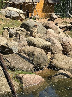 Grafika #31: Wycieczka do Doliny Charlotty