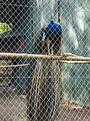 Grafika #32: Wycieczka do Doliny Charlotty