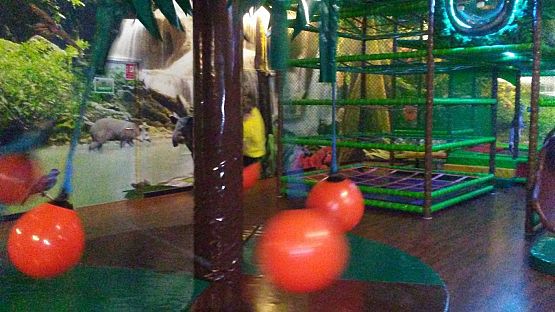 Grafika #14: Wycieczka do Gdyni uczniów klas I-III - sala zabaw "Amazonia".