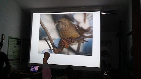 Grafika #0: Wycieczka do Rąbki w Łebie klas I-III