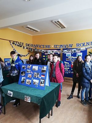 Grafika #1: Targi Edukacyjne w Lęborku