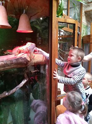 Grafika #13: Przedszkolaki w Tuchlinie