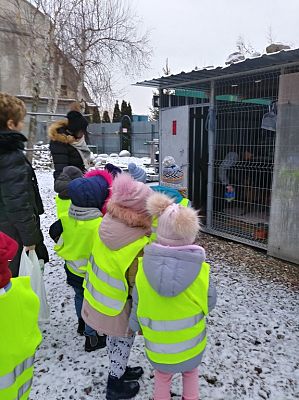 Grafika #2: Przedszkolaki pomagają zwierzętom