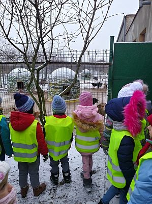 Grafika #6: Przedszkolaki pomagają zwierzętom