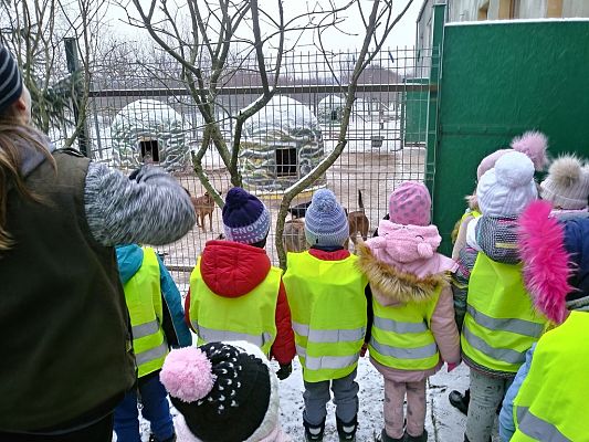 Grafika #10: Przedszkolaki pomagają zwierzętom