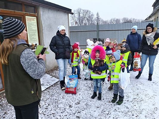 Grafika #14: Przedszkolaki pomagają zwierzętom