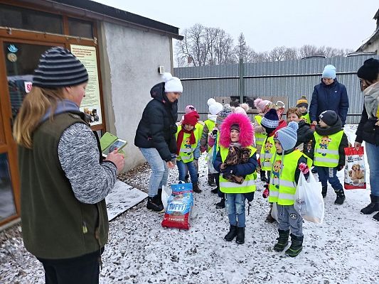 Grafika #15: Przedszkolaki pomagają zwierzętom