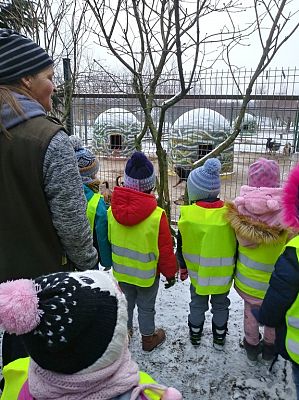 Grafika #17: Przedszkolaki pomagają zwierzętom