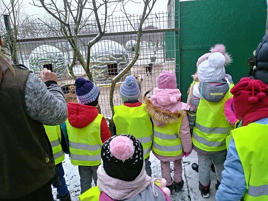 Grafika #18: Przedszkolaki pomagają zwierzętom