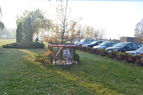 Grafika #0: Złożenie kwiatów pod Dębem Pamięci