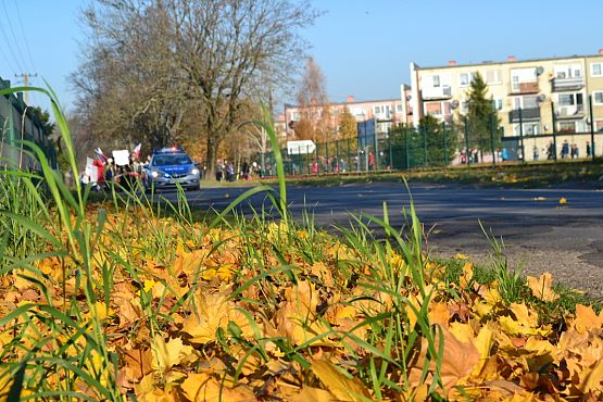 Grafika #21: Marsz Niepodległościowy