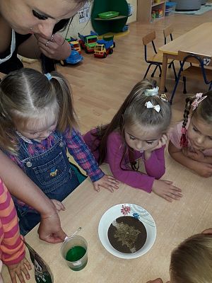 Grafika #3: Dzień Dziewczynek w najmłodszej grupie przedszkolnej