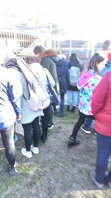 Grafika #3: Wizyta w Schronisku dla Bezdomnych Zwierząt OTOZ Animals w Dąbrówce